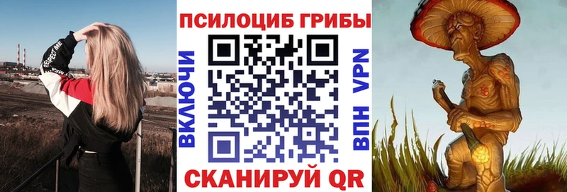 Галлюциногенные грибы Magic Shrooms Юрьев-Польский
